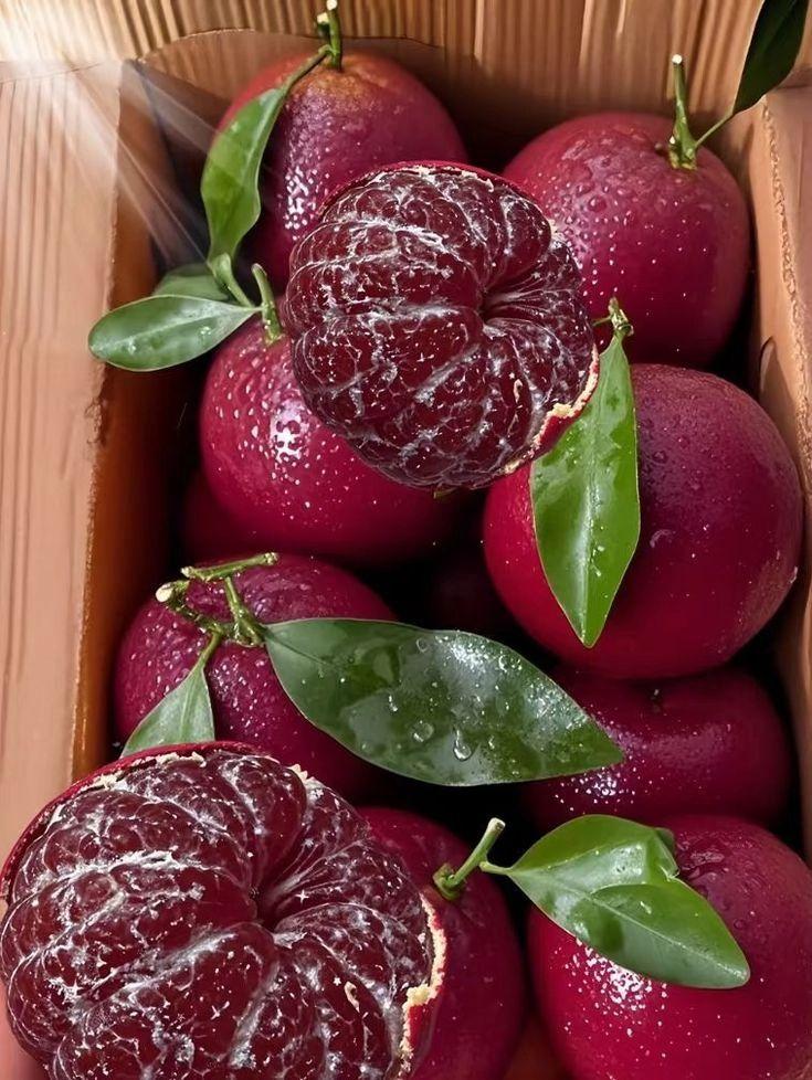 Rustic Orchard's Seasonal Berry Selection